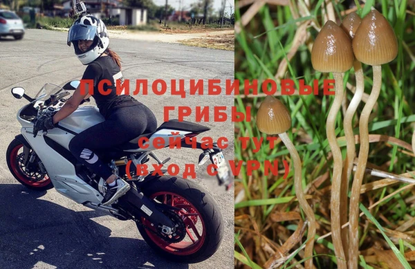 амф Алзамай