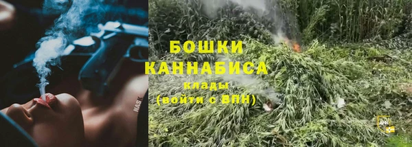 spice Арсеньев