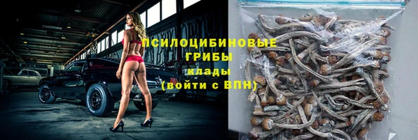 spice Арсеньев